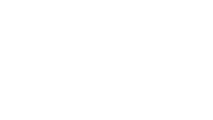 Google-Review-Logo White